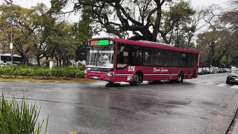 Promociones transporte marzo 2026: cómo viajar hasta 100% gratis en subte y colectivo