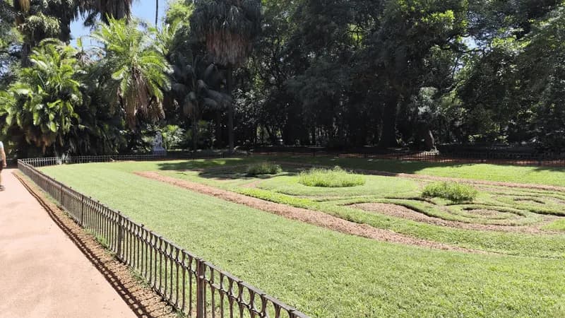 Que hacer en Buenos Aires del 14 al 20 de julio: agenda cultural y eventos destacados